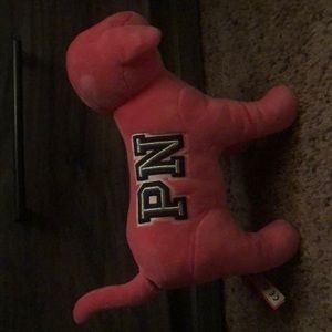 Victoria secret pink big pup